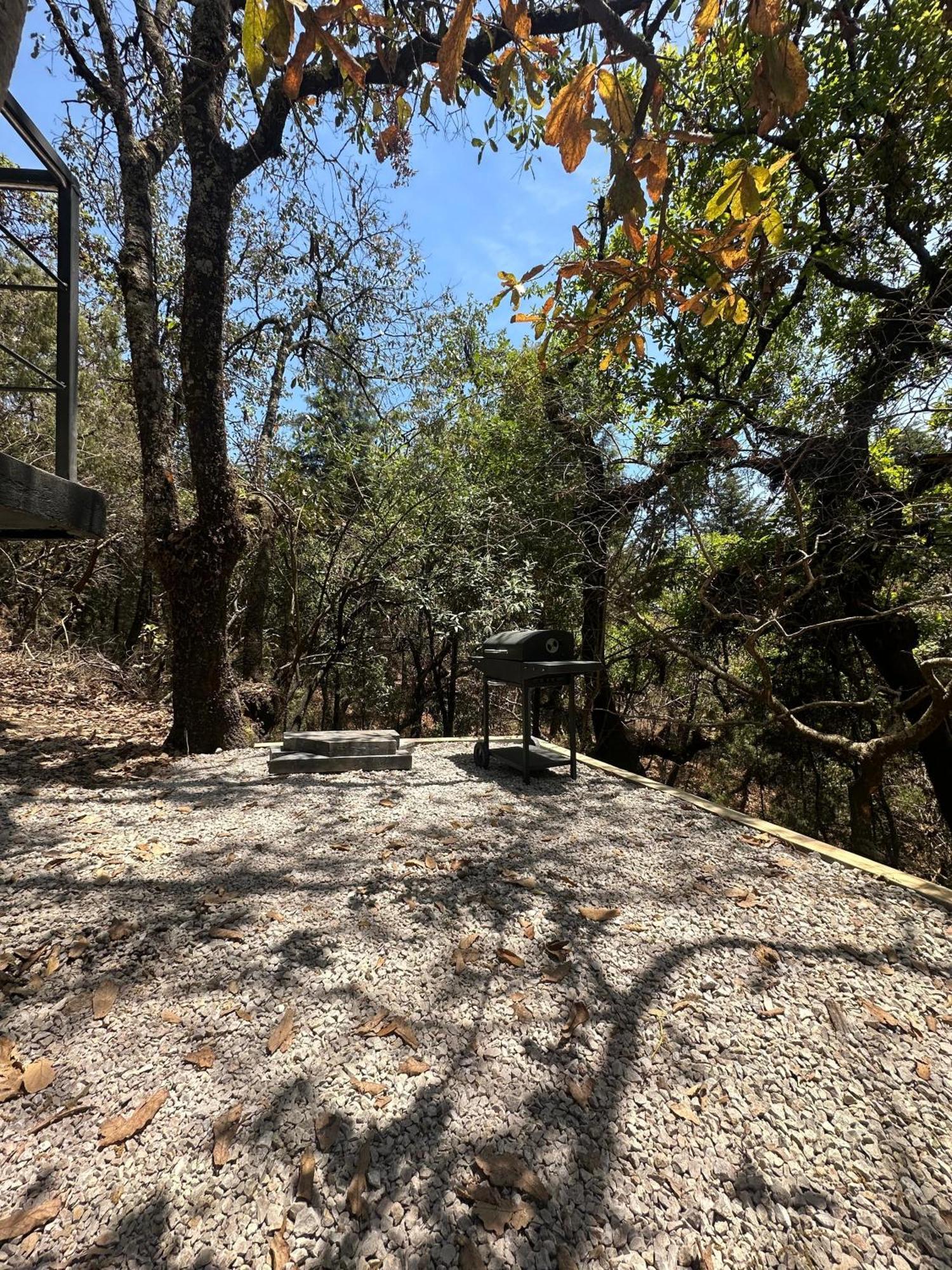 Grasshopper Cabanas Cuautla  Exterior photo